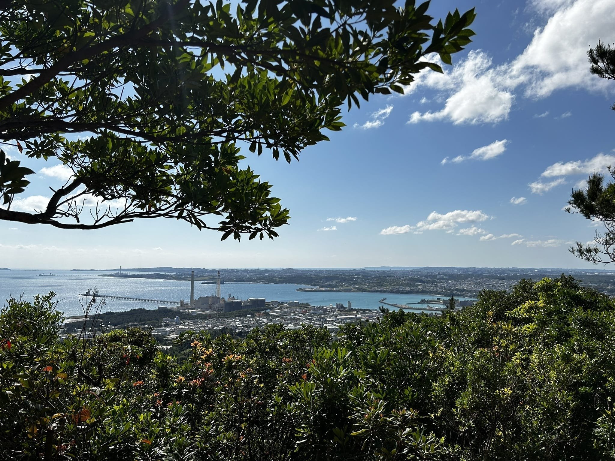 🌳 우루마 시민의 숲 공원 (우루마시민노모리코엔) 이미지 11